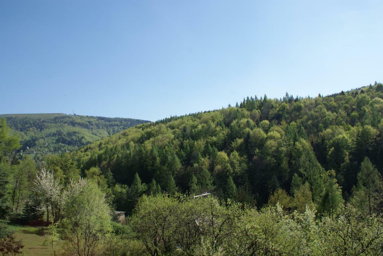Willa Kasztelanska Porabka Luaran gambar
